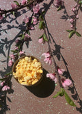 golden honey wax melts
