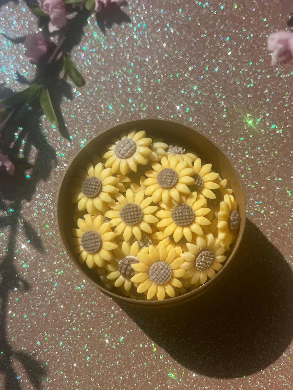 spring sun wax melts