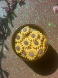spring sun wax melts